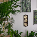 Retro laikapstākļu stacija BIOTERM 094104, valriekstu krāsa, zelta ciparnīcas, 27x10x4 cm, koks