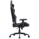 Gaming chair with 2D adjustable armrests 90&deg;&ndash;180&deg; adjustable backrest head and lumbar pillows Class-4 gas lift up to 150 kg Shift MCCH01 Black CNS-MCCH01 CANYON