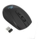Rivacase Чехол REGENT 15.6" 8038, 39.6см, 470г, Монохромный, Мышь в комплекте, Ремень на плечо, Ручки