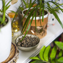 Expanded Clay Aggregate for Potted Plants, Gardening, and Glass Terrariums BIOOGROD 749910 4-10 mm 2 L