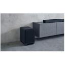 Sony K&otilde;lar SASW5.CEL, 300 W, 2 &Omega;, traadita &uuml;hendus, kaasaskantav, must
