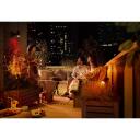 Philips Hue Lily āra gaismeklis 8718696167960, 3x8W, 24V, 600lm, 2000-6500K, melns, matēts