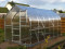 Šiltnamis KLASIKA STANDART 20 - 2,5 x 8m - 4mm polikarbonatas KLASIKA GREENHOUSE
