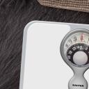 Salter Vonios svarai 484 WFEU12, 133 kg, metalas, skaitmeninis ekranas