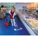 Uzkopšanas ratiņi Duo Professional 2x17L LEIFHEIT 1059101, 7.80kg, 40x60x80cm