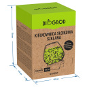 Daiginimo indas stiklinis + ridikėlių sėklos BIOOGROD 745747, 580 ml, 11x10.5x13.2 cm