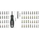 Bosch bitikomplekt 2607012081, 50 tk, 25 Torx, 5 soon, 8 Phillips, 8 Pozidriv, magnetiline kruvikeeraja k&auml;epide