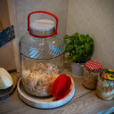 10l klaaspurk plastkaanega BROWIN 600110 10.0L, 22x22x37.5 cm