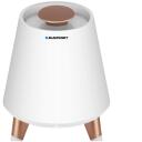 Blaupunkt Bluetooth garsiakalbis BT25LAMP, 10W, 3.5mm AUX, 10m, LED ap&scaron;vietimas, belaidis, MP3, laisvų rankų funkcija
