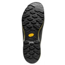 Apavi TX4 EVO GTX, izmērs: 42.5, Carbon/Bamboo, 8058428047741 LA SPORTIVA