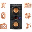 Manta Karaoke k&otilde;lar SPK8170000001, 16W, 10h, FM raadio, Bluetooth, USB-C, MicroSD, juhtmega mikrofon, kaugjuhtimispult