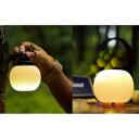 Flextail Sēņu lampas vāks, Mushroom Tiny 2x-W, balts, saderīgs ar Tiny Pump 2X, kompakts dizains