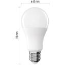 Emos LED lemputė A60 ZQ5E61, 13 W, 1521 lm, 230 V, 2700 K, E27, 180&deg;, 30 000 val., E, 80