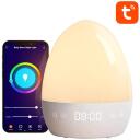Gosund RGBW 16M LB2S, 5V, 1A, 50lm, 2700K, 80Ra, 2.4GHz, rakenduse juhtimine, &uuml;hilduvus Amazon Alexa, Google Assistant