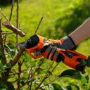 Aku aiapügamine DAEWOO DAGP 3216Li SET, 16V, 3,0A/h, 32mm, 1,7kg, Aku ja laadija komplektis.