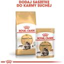 Royal Canin FBN Maine Coon, RC POS musthave, 12x85g, 10% olb., 4.3% tauku, 1.6% &scaron;ķiedrv., 78% mitrums, vistas gar&scaron;a, svars 1-1.9kg
