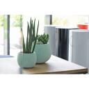 Prosperplast Gėlių vazonas Splofy Bowl 7268347, &Oslash; 24 cm, auk&scaron;tis 16 cm, ovali forma, žalia spalva, patalpų augalai