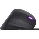 Trust GXT 144 Rexx Mudel 22991, 10000 DPI, 6 nuppu, RGB valgustus, ergonoomiline disain