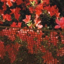 QUADRA 10 - Защитная пластиковая сетка, коричневая, 1x5м 72020117