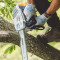 Benzīna arboristu motorzāģis MS 194 T, 31.7cc, 30cm sliede, 11370113050A STIHL