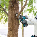 Makita DUC101Z01 belaidė &scaron;akų pjūklė 18 V be&scaron;epetė variklis 320 W, 100 mm kreipiančioji, 8 m/s grandinės greitis, automatinis grandinės tepalas, 0.05 L alyvos bakas, 0.325&Prime; žingsnis, 76 dB garso lygis, rankos apsauga komplekte, akumuliatorius ir įkroviklis neįtraukti mėlyna-juoda