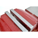 Izturīgs fiksēts galda preses 8"/200mm, maināmas žokļa daļas, 20 kg, AW24224, AWTOOLS