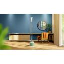 Philips vertikalus garų lygintuvas STE1010/70, galia 1600 W, vandens talpa 1.8 L, nuolatinis garas 32 g/min, 2 nustatymai