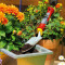 Лопатка садовая для цветов ЛУ-2К 2915000 Wolf Garten