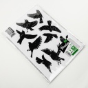 SCARE Antikolizijas putnu uzlīmes logiem, 10 gab., CTRL-BR001, 28.7x19.3 cm, melna pa&scaron;līmējo&scaron;a folija