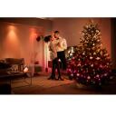 Philips Hue Festavia gaismas virkne 8720169246621, 250 LED, 20m, 14 W, maināms, Bluetooth, balss vadība