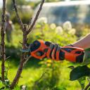 Aku aiapügamine DAEWOO DAGP 3216Li SET, 16V, 3,0A/h, 32mm, 1,7kg, Aku ja laadija komplektis.