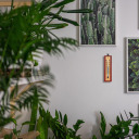 Iekštelpu termometrs ar zelta skalu BIOTERM 010500 (-10°C līdz +50°C) 12cm