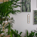 Toatermomeeter BIOTERM 012600 (-30°C kuni +50°C) 20cm