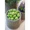Горшок для цветов Large Cylinder Planter светло-серый 29197837 KETER