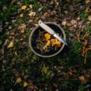 Peilis NORDEN, 1072090 FISKARS