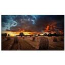 Samsung Monitor VM55B-U LH55VMBUBGBXEN, 55", 1920 x 1080, 500 cd/m&sup2;, D-LED, 2xHDMI, 1xUSB 2.0, 178&deg;/178&deg;, VESA 600 x 400