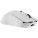 White Shark Spēļu pele MAXIMUS-W, 55g, 6 pogas, 26 000 DPI, bezvadu, PTFE, 1000 Hz, 300 mAh akumulators