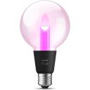 Philips Hue Gaismas spuldze Lightguide G95 8719514419155, 6.8 W, E27, 500 lm, 2000-6500 K, balss vadība