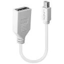 Lindy adapteris Mini DP į DP 41021, 20cm, baltas, 1 Mini DP, 1 DP, pilnas apsaugos