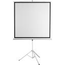 Sbox Trijkājis Ekrāns PSMT-112-2, 200x200cm, 16:9, 4:3, 1:1, audums, tērauds, balts
