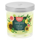 Aromātiska svece Bolsius 37690384 Floral Fusion Ø80x72mm saulespuķe un citrusaugļi