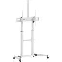 Sbox TV statīvs FS-3610-W, 60&ndash;100'' (152&ndash;254 cm), 100kg, VESA 200x200 &ndash; 1000x600, balts