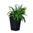 Vazonas Rattan Planter S KETER 29192300939 23,6L pilkas, 28,5x28,5x43,5cm, 1,4kg