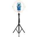Agfa Photo Ring Light ARL11XL, ARL11XL, 10W, 28cm, 3200-6500K, 120 LED, USB toide, alumiiniumist statiiv 45-155cm