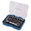 Instrumentu komplekts 31 gab., SCHEPPACH, SCH-2311-5, 1/4" kvadrāts, 10 uzgaļi, 20 bitu