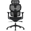 Gaming and office chair with breathable mesh fabric 3D adjustable armrests 90&deg;&ndash;120&deg; recline head and lumbar support up to 136 kg Ventra MOCH01 Black CNS-MOCH01 CANYON