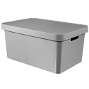 Hoiukast Infinity 45L Curver 0801721099 h&otilde;be 56x39x27cm