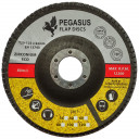 Slīpējamais disks lapiņu 125mm G60 Profi PEGASUS