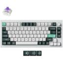 Keychron Клавиатура Q1H-P1 75% беспроводная, RGB LED подсветка, 1.8 м кабель, 60 г сила нажатия, 4000 мАч аккумулятор