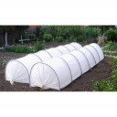 Kasvulava Gorge Gorošek kilega 4m PERCHINA